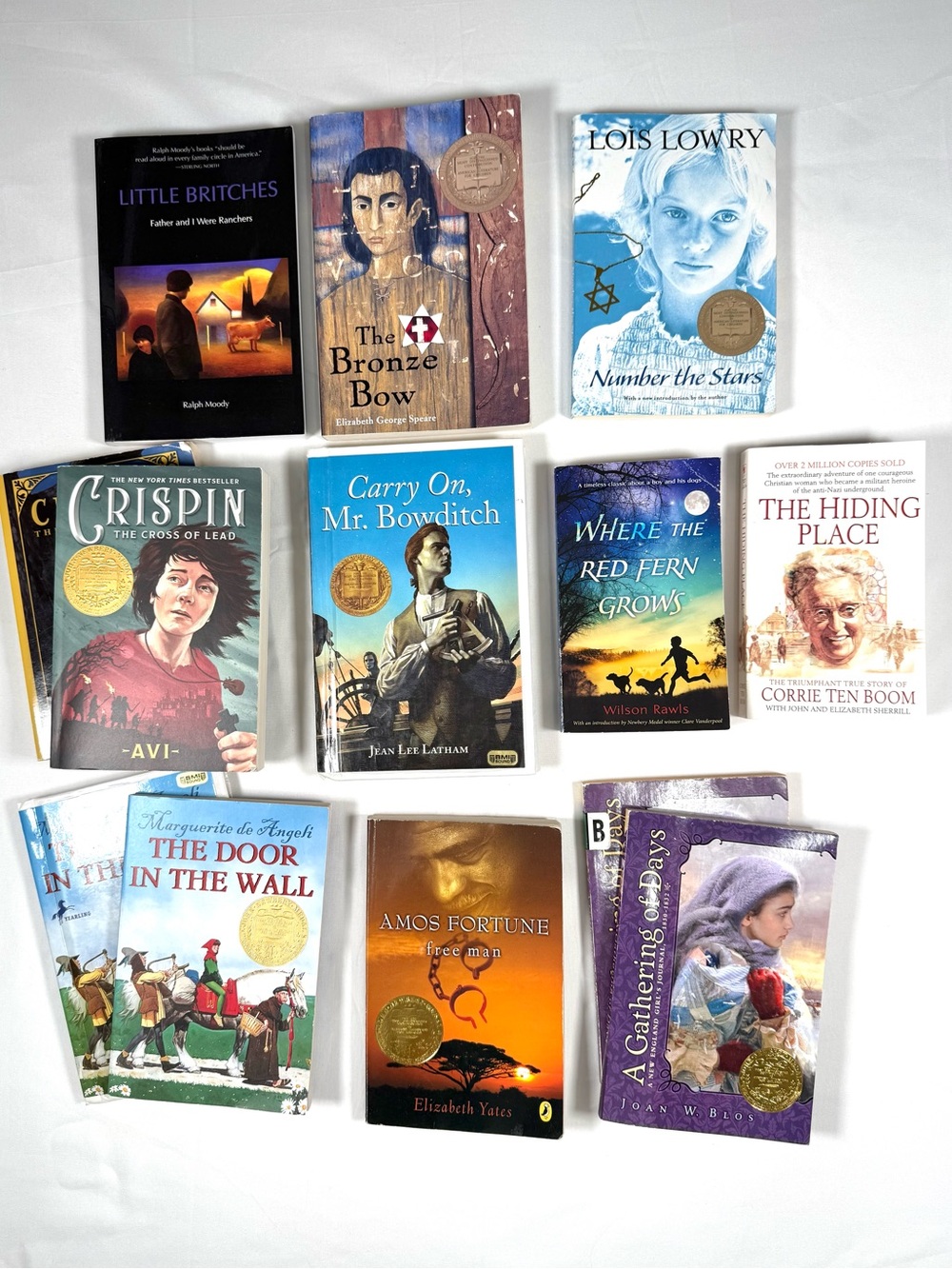 CLASSICAL CONVERSATIONS Challenge A Partial Set Homeschool Literature Books CC